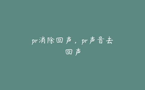 pr消除回声，pr声音去回声