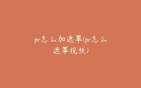 pr怎么加遮罩(pr怎么遮罩视频)