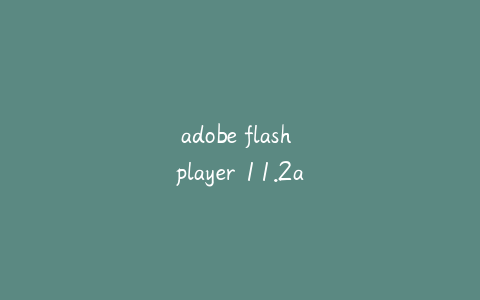 adobe flash player 11.2adobe flash player 11.2 r202