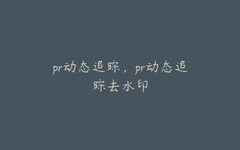 pr动态追踪，pr动态追踪去水印