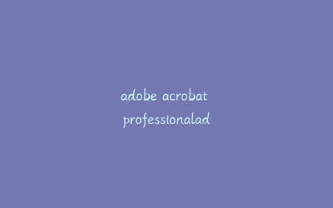 adobe acrobat professionaladobe acrobat professional怎么转曲