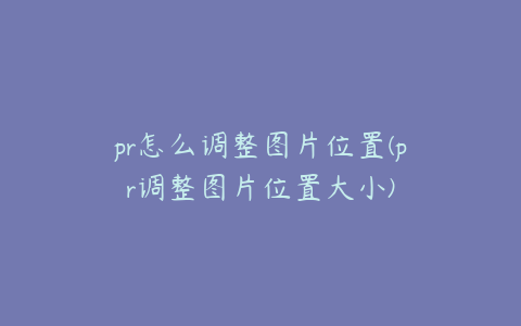 pr怎么调整图片位置(pr调整图片位置大小)