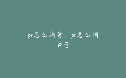 pr怎么消音，pr怎么消声音