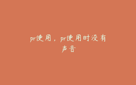 pr使用，pr使用时没有声音