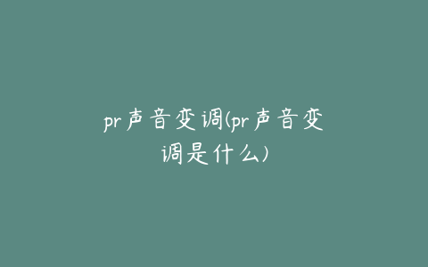 pr声音变调(pr声音变调是什么)