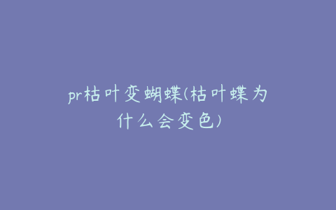 pr枯叶变蝴蝶(枯叶蝶为什么会变色)