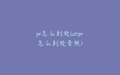 pr怎么到处lut(pr怎么到处音频)