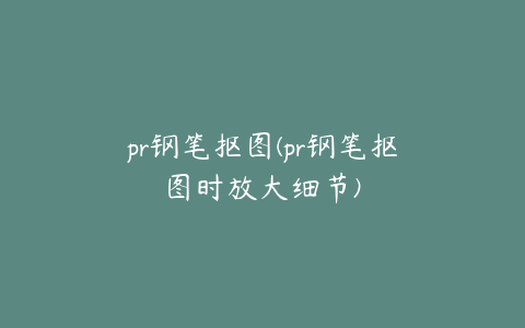 pr钢笔抠图(pr钢笔抠图时放大细节)