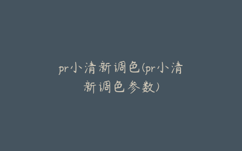 pr小清新调色(pr小清新调色参数)