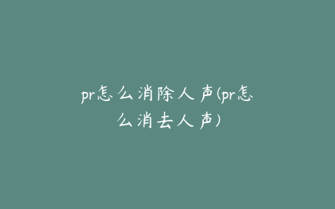 pr怎么消除人声(pr怎么消去人声)