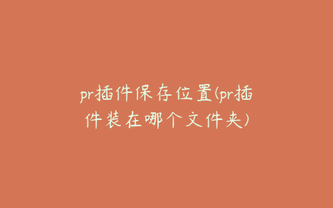 pr插件保存位置(pr插件装在哪个文件夹)