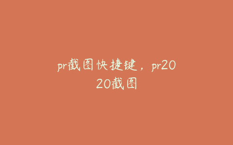 pr截图快捷键，pr2020截图