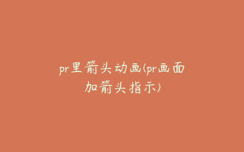 pr里箭头动画(pr画面加箭头指示)