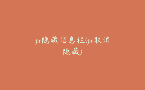 pr隐藏信息栏(pr取消隐藏)