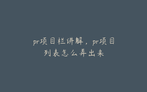 pr项目栏讲解，pr项目列表怎么弄出来