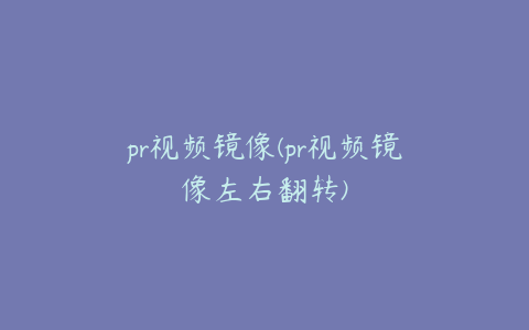 pr视频镜像(pr视频镜像左右翻转)