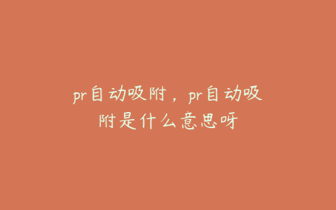 pr自动吸附，pr自动吸附是什么意思呀