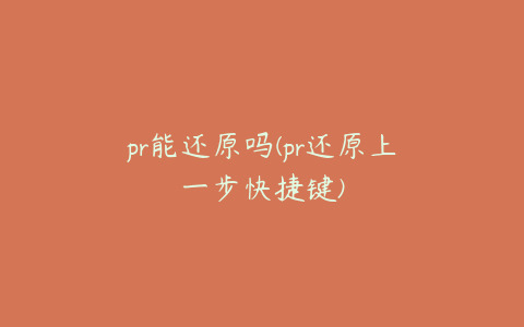 pr能还原吗(pr还原上一步快捷键)