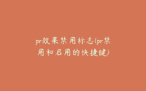 pr效果禁用标志(pr禁用和启用的快捷键)