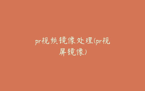 pr视频镜像处理(pr视屏镜像)