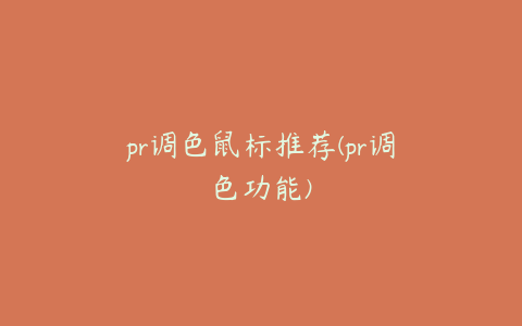 pr调色鼠标推荐(pr调色功能)