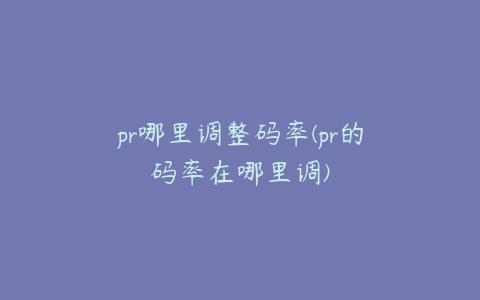 pr哪里调整码率(pr的码率在哪里调)