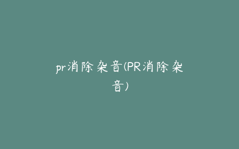 pr消除杂音(PR消除杂音)