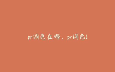 pr调色在哪，pr调色l