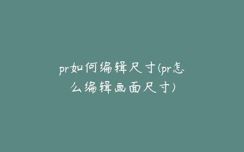 pr如何编辑尺寸(pr怎么编辑画面尺寸)