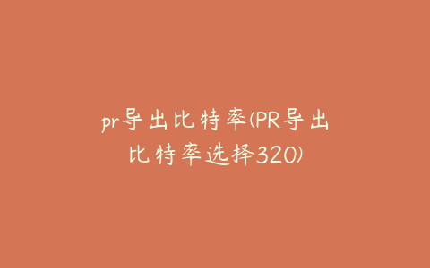 pr导出比特率(PR导出比特率选择320)