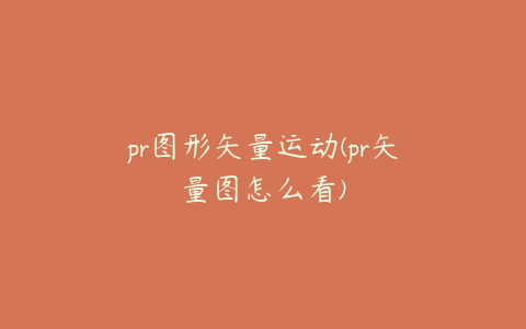 pr图形矢量运动(pr矢量图怎么看)