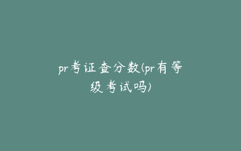 pr考证查分数(pr有等级考试吗)