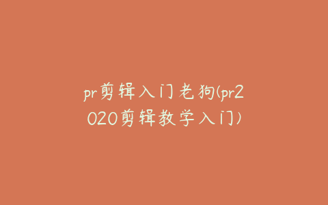 pr剪辑入门老狗(pr2020剪辑教学入门)