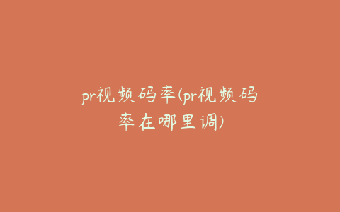 pr视频码率(pr视频码率在哪里调)