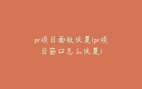 pr项目面板恢复(pr项目窗口怎么恢复)