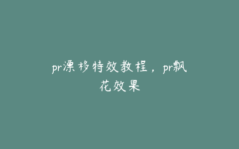 pr漂移特效教程，pr飘花效果