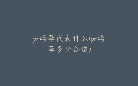 pr码率代表什么(pr码率多少合适)