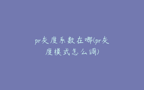 pr灰度系数在哪(pr灰度模式怎么调)