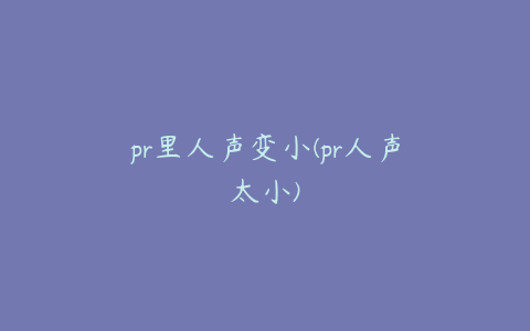 pr里人声变小(pr人声太小)