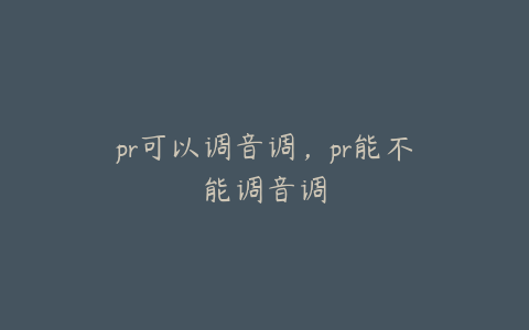 pr可以调音调，pr能不能调音调