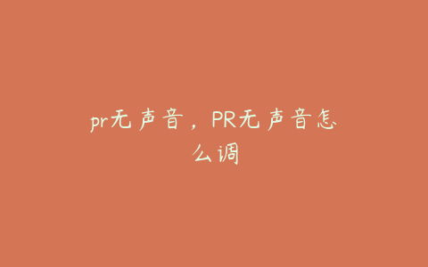 pr无声音，PR无声音怎么调