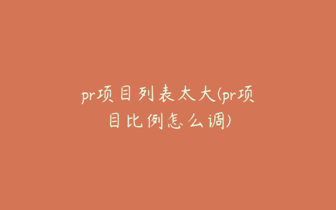 pr项目列表太大(pr项目比例怎么调)