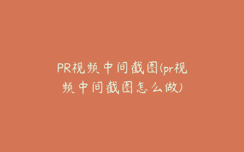 PR视频中间截图(pr视频中间截图怎么做)