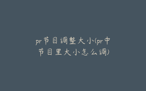 pr节目调整大小(pr中节目里大小怎么调)