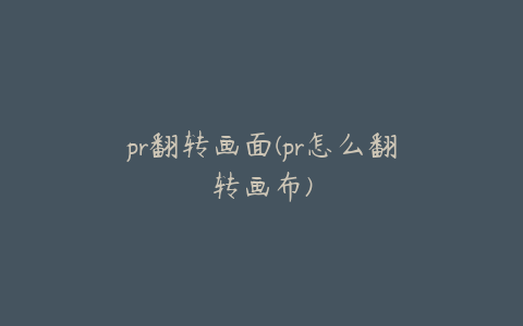 pr翻转画面(pr怎么翻转画布)