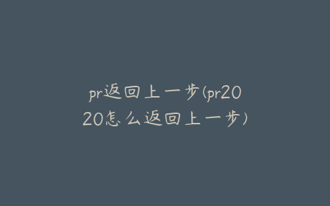 pr返回上一步(pr2020怎么返回上一步)