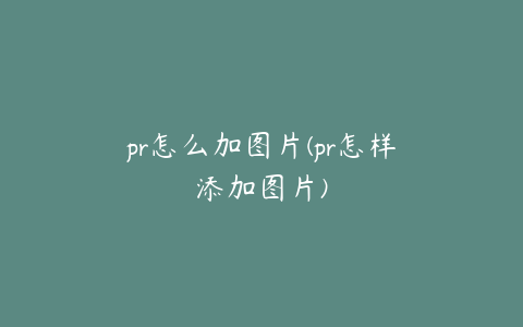 pr怎么加图片(pr怎样添加图片)