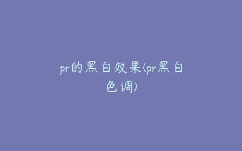 pr的黑白效果(pr黑白色调)