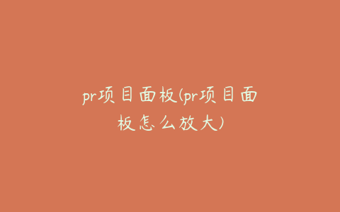 pr项目面板(pr项目面板怎么放大)