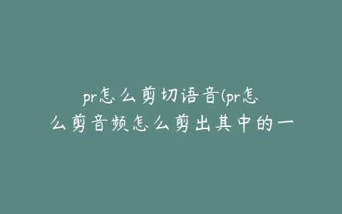 pr怎么剪切语音(pr怎么剪音频怎么剪出其中的一段)